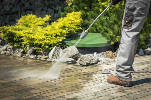 Best Soft Washing  in Takoma Park, MD