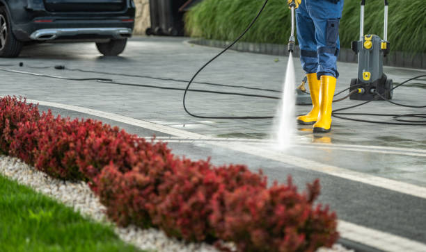 Trusted Takoma Park, MD Pressure Washing Services Experts
